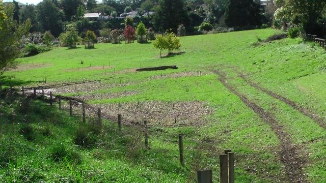 Overall view. Cambridge Tree Trust